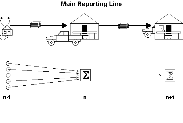 Slide 6: Main Reporting Line