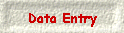 Data Entry
