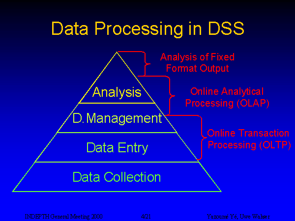 Slide 4: Data Processing in DSS